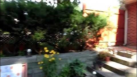 Post Video to MultipleHlRSDpAU