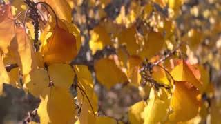 For those who matter