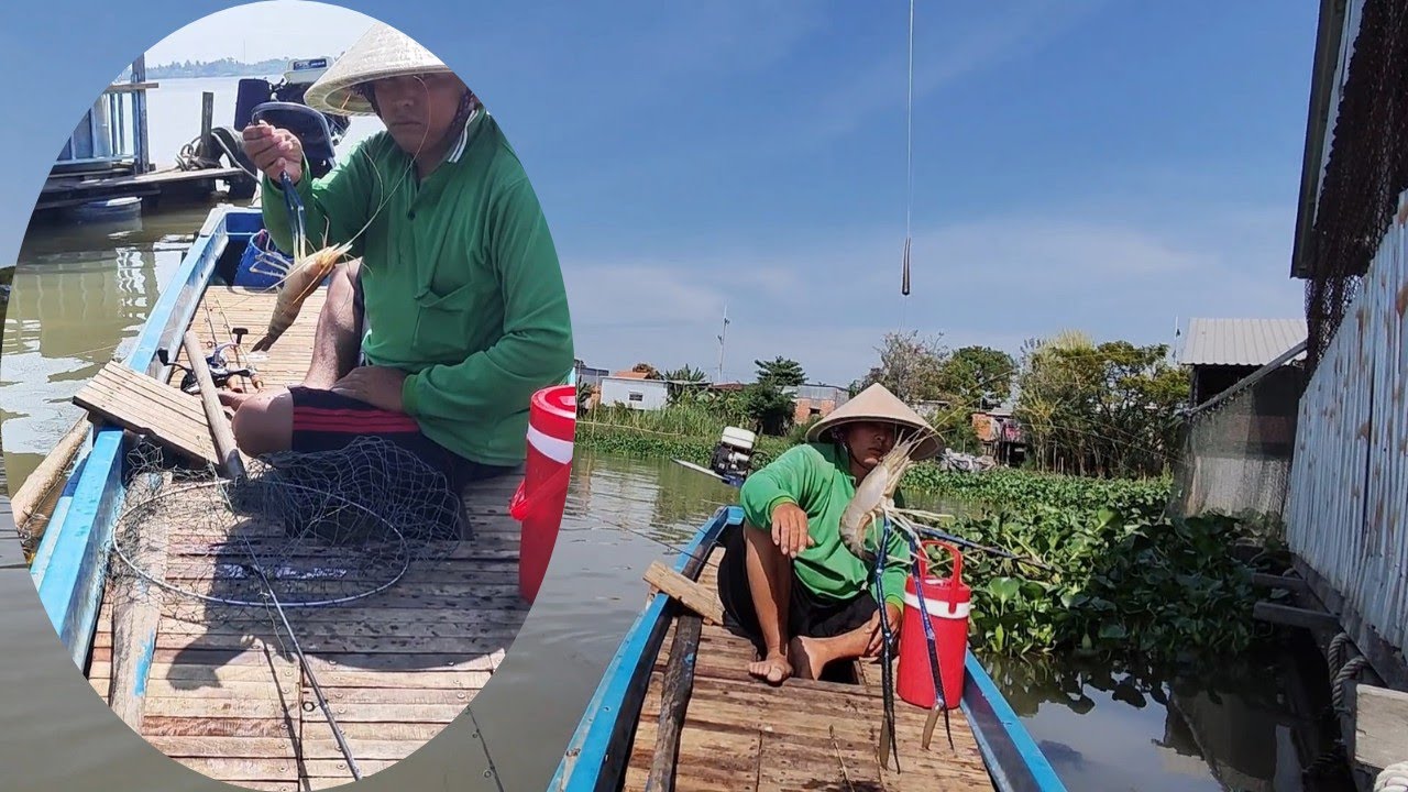 💯💯 Cẩu Thành Công Tôm Càng Xanh Lên Bờ #cùlaotâyvlog