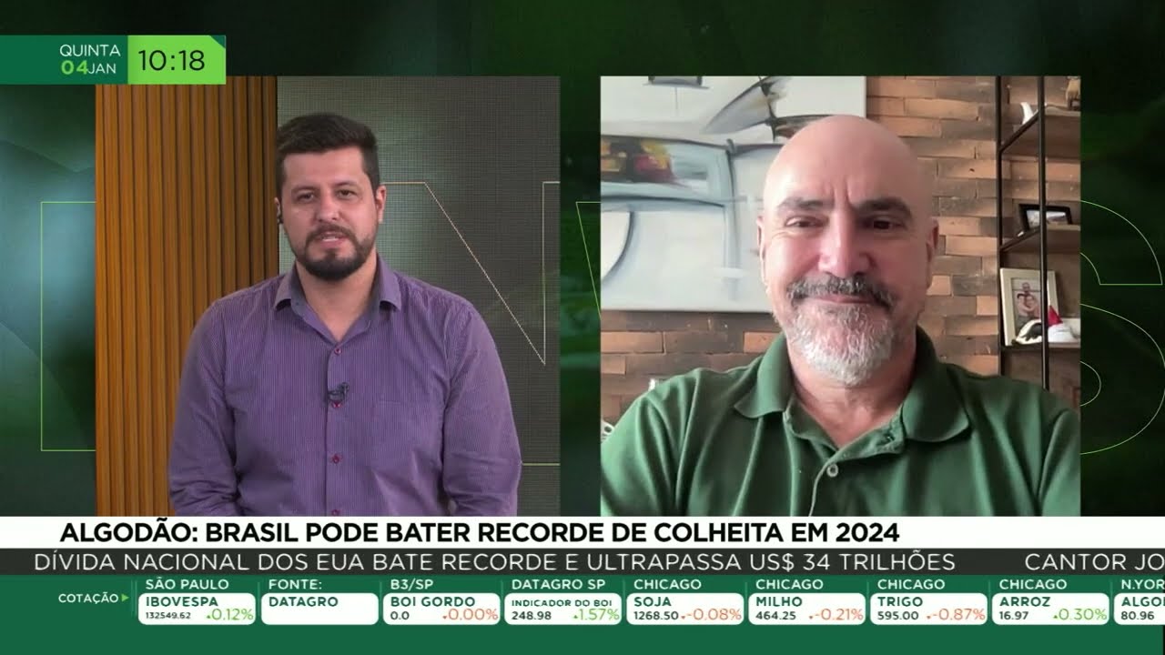Algodão: Brasil pode bater recorde de colheita em 2024 