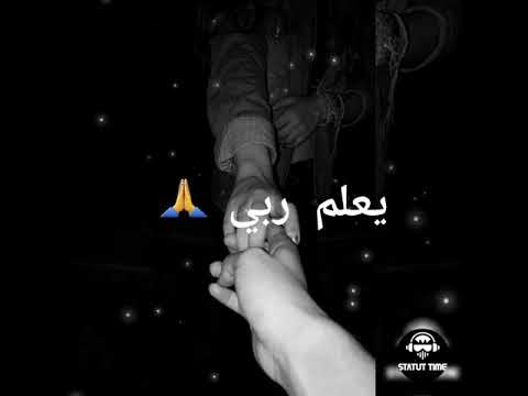         2020 مهدي مزين صافي بليزير