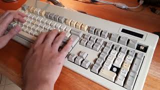 Focus FK-8000 Typing Test | Futaba MA Cherry MX Stem