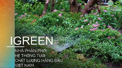 Béc tưới cảnh quan spray KRain 78004 - Mỹ