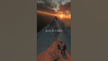 كَلَّآ إِذَا بَلَغَتِ ٱلتَّرَاقِىَ | القارئ : #ياسر_الدوسري