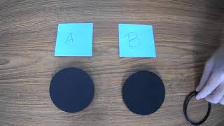 Observations and Inferences Demo