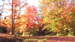 Coming of Autumn 2008
