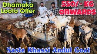 550/- Kg Onwards Saste Qurbani Ke Bakre At OWSAM BHAI | Dhamaka Looto Offer Goat In Bhiwandi 