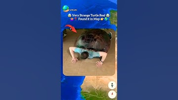 🤯 very strange turtle real 😱 found on Google earth and Google map 🌏 #shorts #video #map #earthcastle