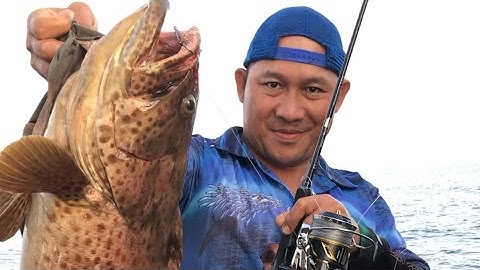 Tập 43: tour câu cá mú, bớp , thu, nhồng và bè quỵt