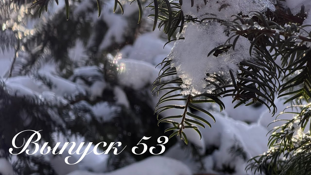 Выпуск 53 Февральские итоги. Встреча вышивальщиц 15.02.2026 