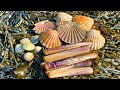 Coastal Foraging for Scallops, Mussels, Cockles, Oysters and Clams with beach fire pit cook up