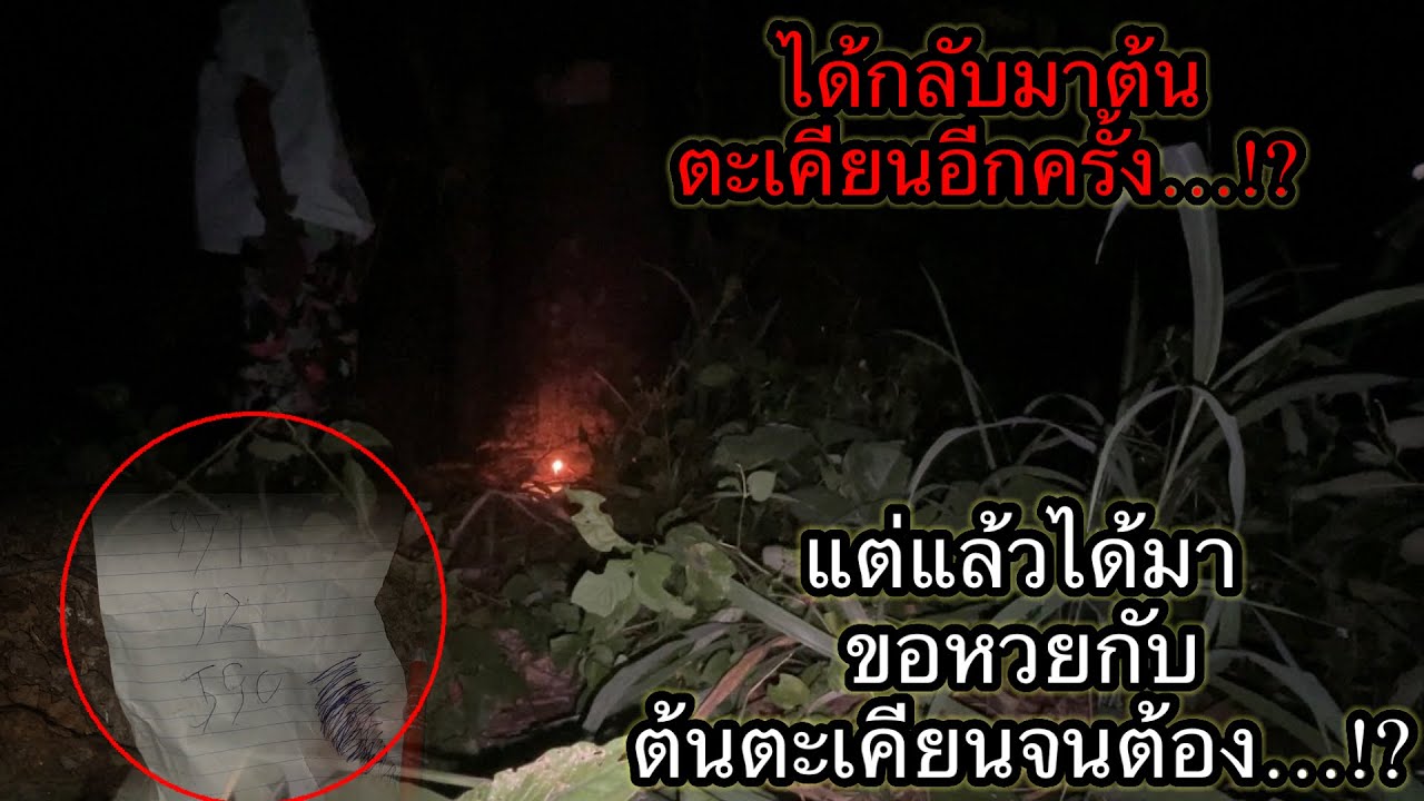 ได้กลับมาต้นตะเคียนอีกครั้งแล้วได้มาขอหวยกับต้นตะเคียนจนต้อง..!?