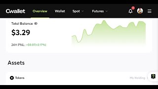 Verouille Tes Actifs Et Gagne