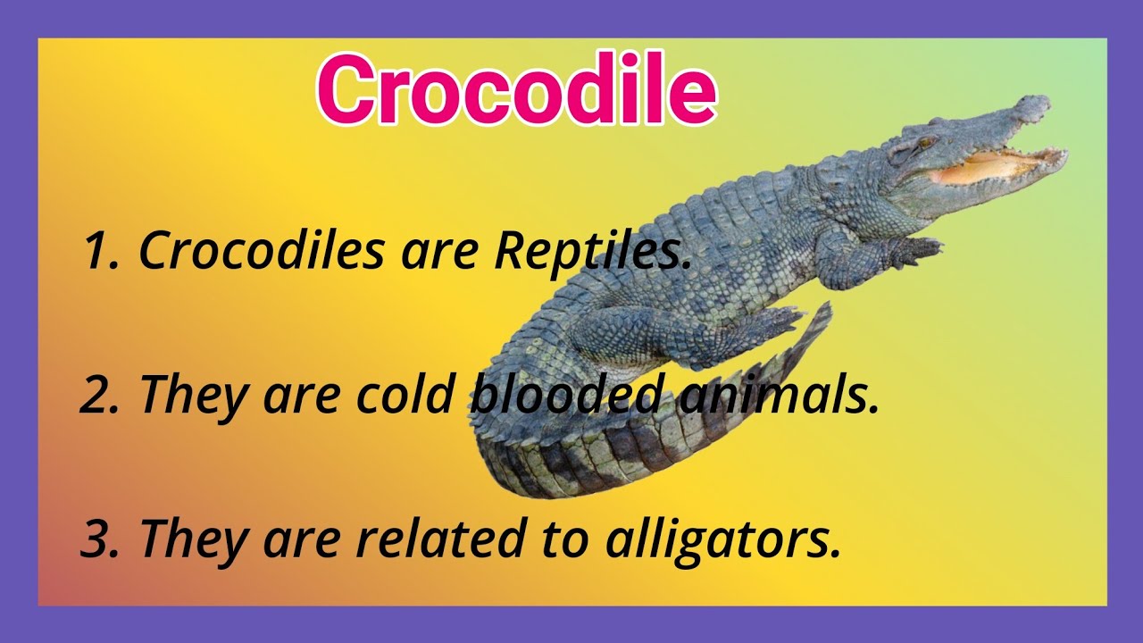 essay on crocodile for grade 1