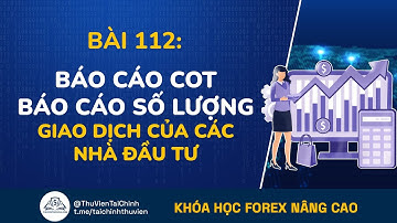 Bài 112: Báo Cáo COT - Bản Khai Báo Cáo Số Lượng Giao Dịch Của Nhà Đầu Tư Forex | Kiếm Tiền Forex