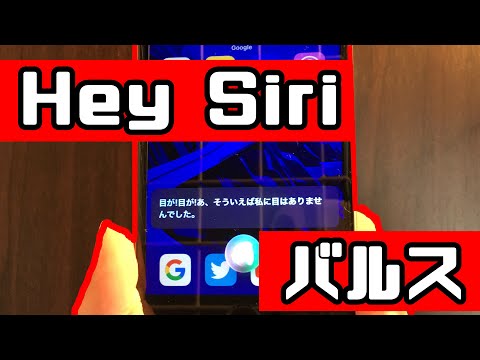 小物 siri Amazon.co.jp: 合鍵 スペアキー IRIS CHITOSE（アイリスチトセ