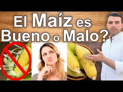 Video: ¿Por qué el maíz sale sin masticar?