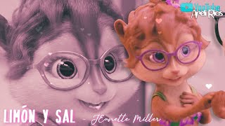 Jeanette Miller - Limón Y Sal