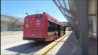 TTC 112 West Mall New Flyer Hybrid Bus Ride #7247 from Renforth Stn to Kipling Stn (May 16th, 2025)