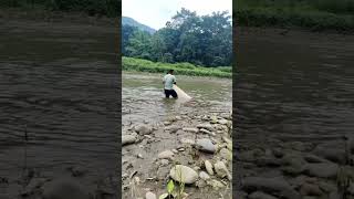 #cast net fishing time🦦#shortvideo
