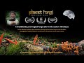 Planet fungi safari in remote northeast india