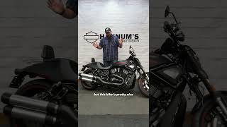 Blane's Pick of the Week - 2013 Harley-Davidson Night Rod Special