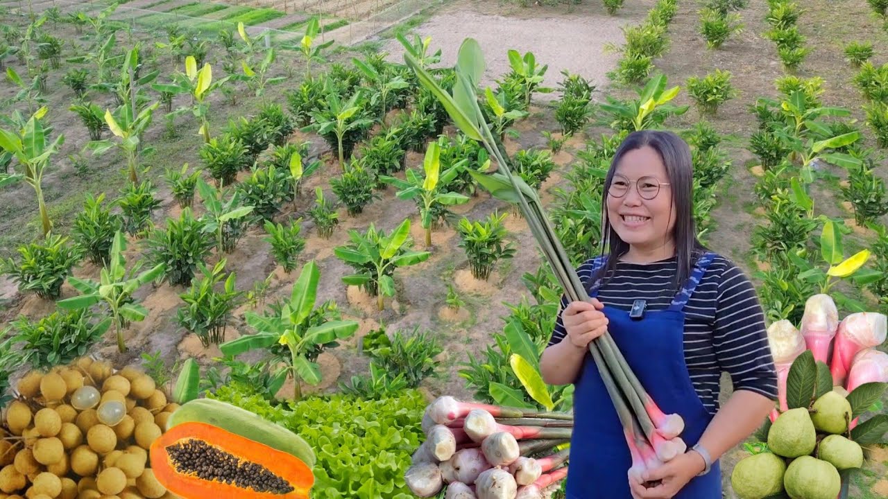 ลงทุนเริ่มเเรกสองพัน ตอนนี้รายได้ต่อวัน 5000 บาท!! ปลูกพืชตลาดดี มีเท่าไหร่ก็ไม่พอ