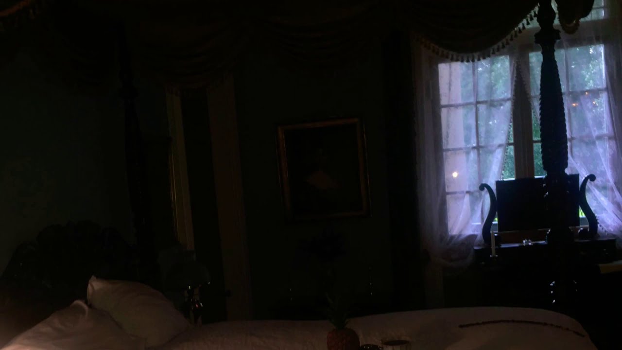 The walls are crying at Oak Alley Slave Plantation 😡😭