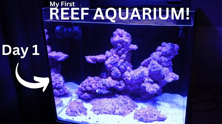 First Ever nano REEF tank! How to build Saltwater Aquarium for beginners? | EP1