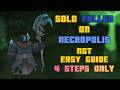 Solo Fallen Necropolis Triumph with Necromancer + 4 Steps Only | TDS Tower Defense Simulator