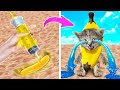 ¡Cómo Cuidar a tu Mascota! Dispositivos y Trucos Inteligentes para Dueños de Mascotas