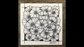 Easy zen doodle / botanical drawing - Cosmos Flowers - #inspiration  #relaxation #positivity