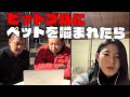 動物の疑問解決「ピットブルにペットが噛まれたら?」