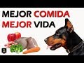 🍎 COMIDA NATURAL para PERROS | La MEJOR DIETA 🍖