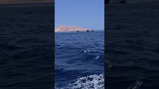 #tiranisland # #adventure #scubadiving #sharmelsheikh #underwaterworld #travel #ocean