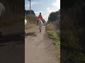 Dirt Bike Horse Encounter - the right way! #crf300l