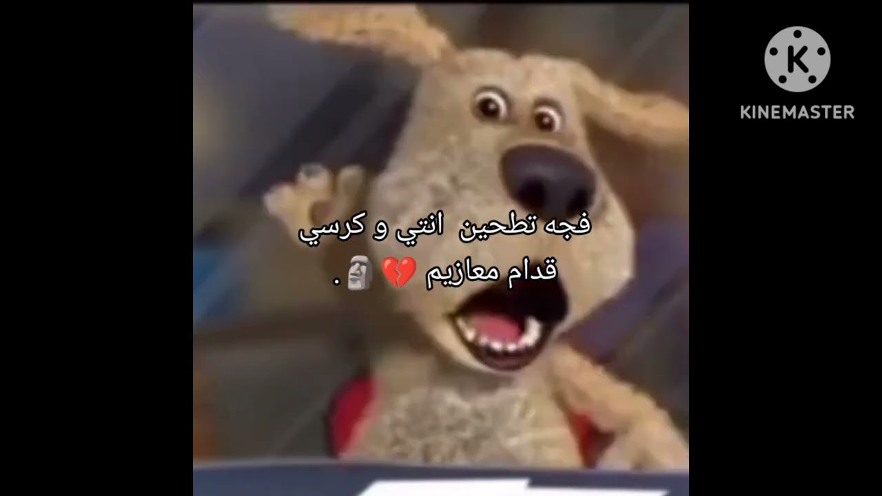 ميمز العائله البيولوجيه