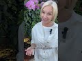 С какой суммы выгодно инвестировать в недвижимость Таиланда ?