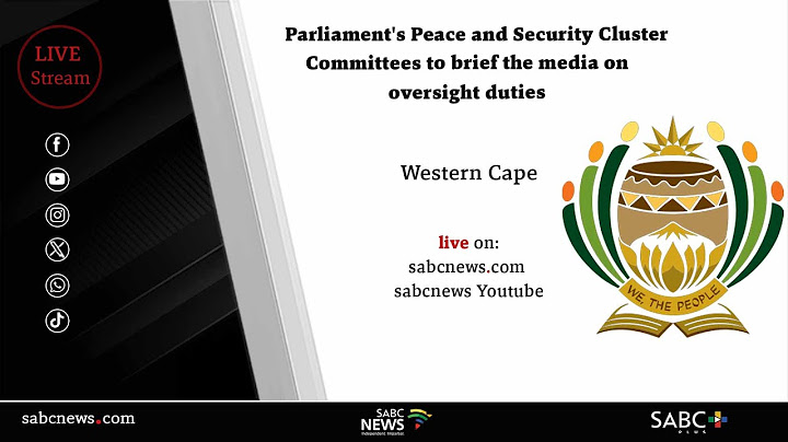 Parliament's Peace and Security Cluster Committee briefs the media on oversight duties