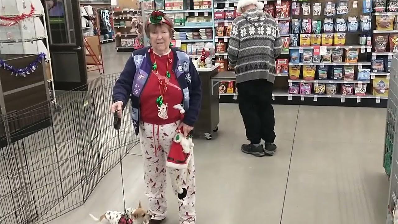 Another Santa Photo at PetSmart YouTube