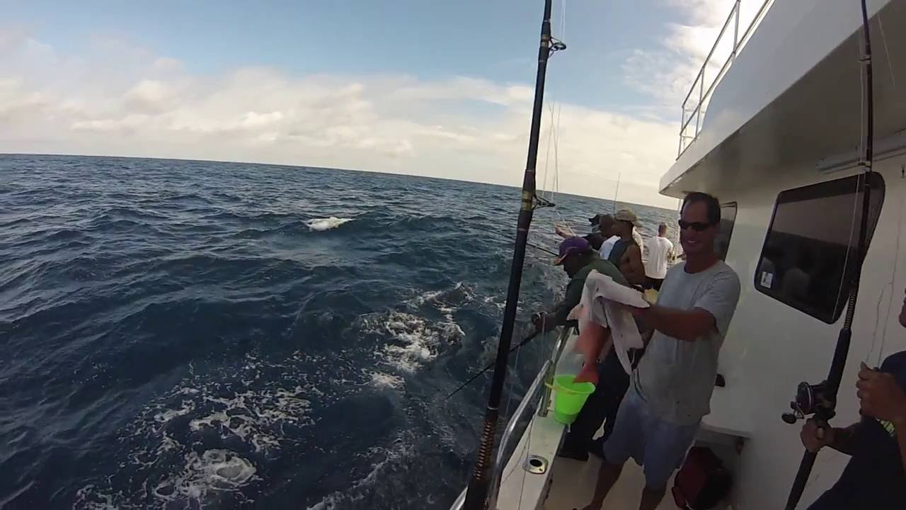 Deep Sea Fishing Jacksonville, FL YouTube