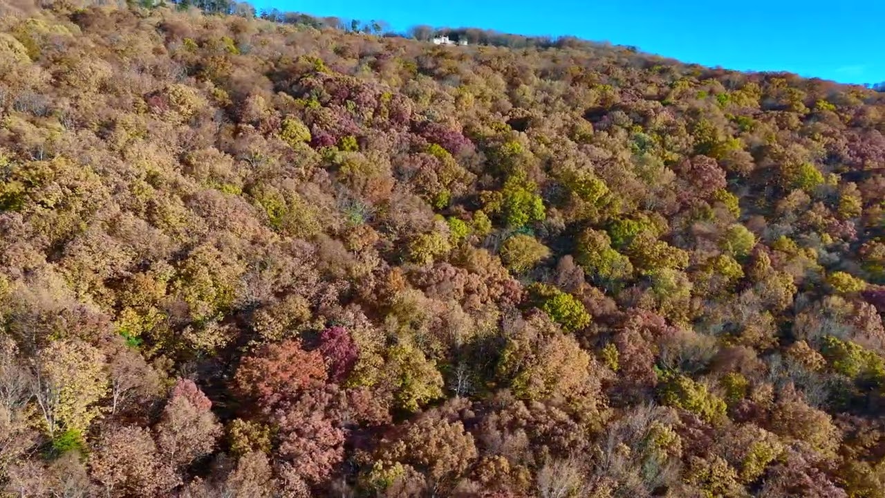 Fall Colors 2025 Green Mountain