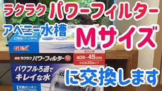 アベニー水槽＊GEXラクラクパワーフィルターMに取り換えます。