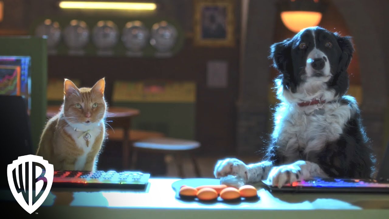 Cats & Dogs 3: Paws Unite!, Trailer