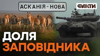 Окупована АСКАНІЯ НОВА. Росіяни відповідатимуть ЗА КОЖНУ скривджену тварину!