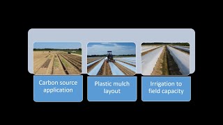Introduction to Anaerobic Soil Disinfestation
