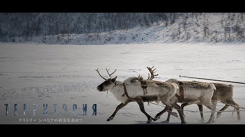『テリトリー シベリアの黄金を求め』予告編　2018年2月7日　DIGITAL SCREENで公開！