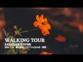 WALKING TOUR  / ZABADAK (cover)