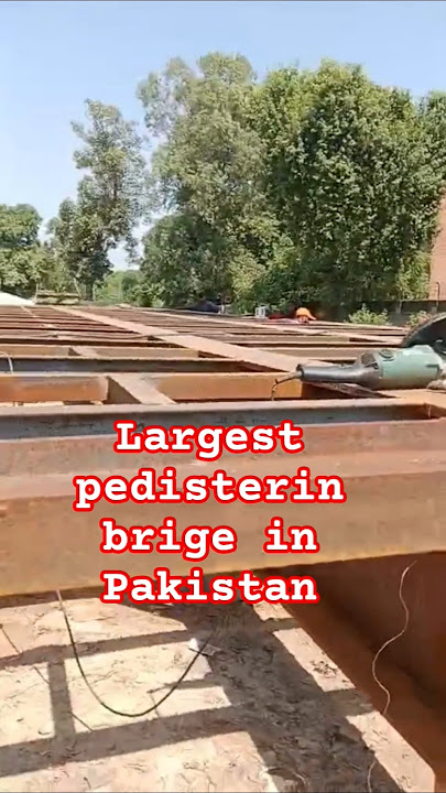 pedisterin brige making #largest