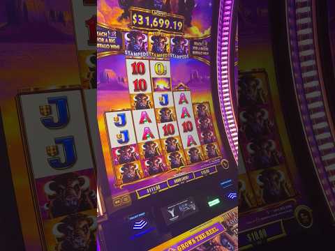 SUPER STAMPEDE!! It’s A BIG one #casino #gamingshorts #yaamava